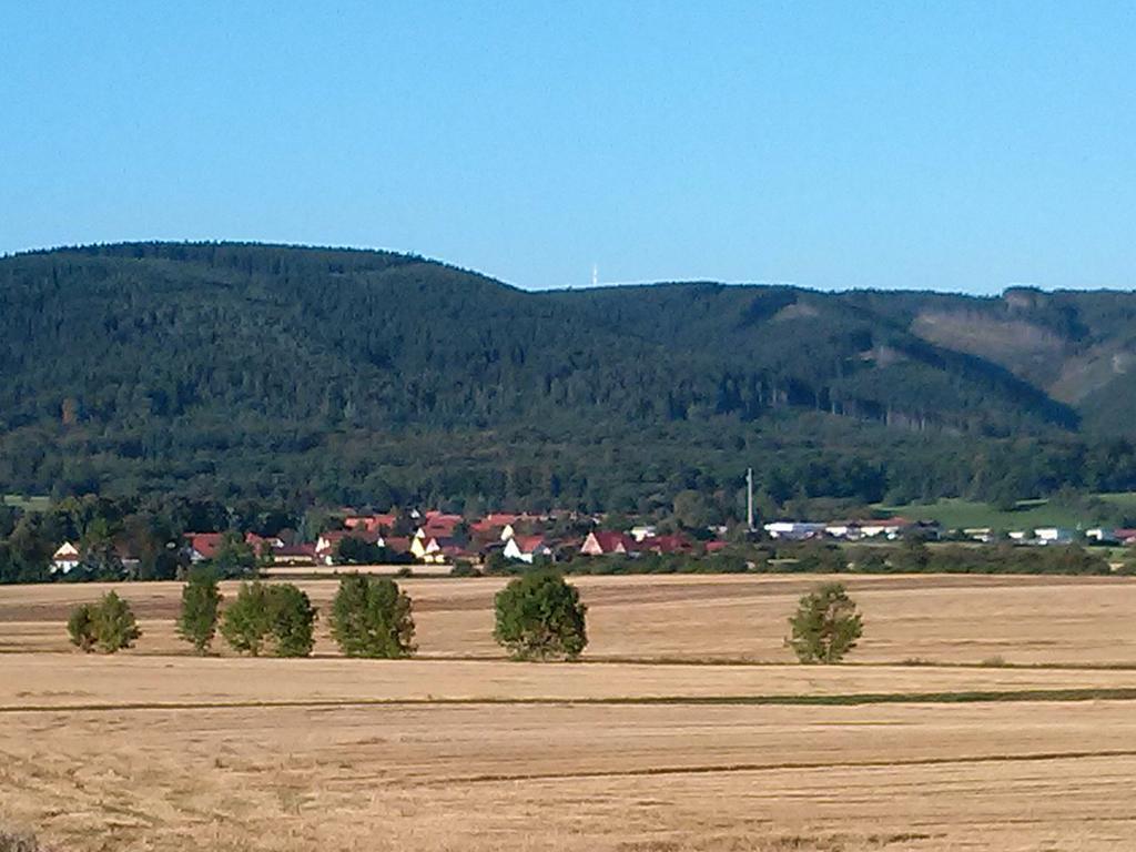 Ferienwohnung Osterbrink Ilsenburg Bagian luar foto